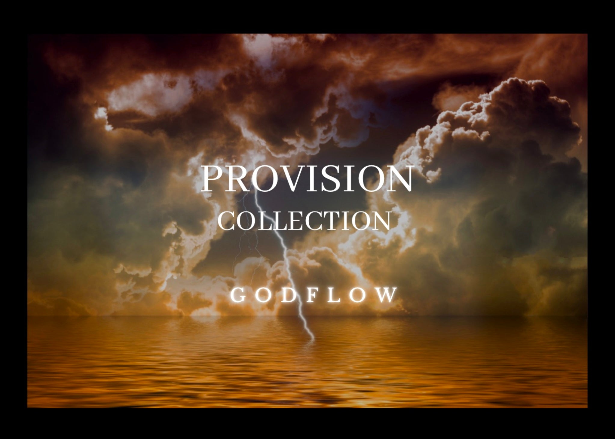 PROVISION COLLECTION